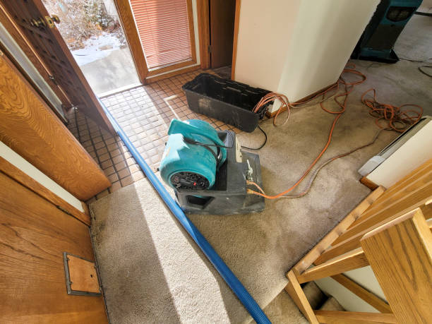Best Water damage restoration cost  in Westlake, TX