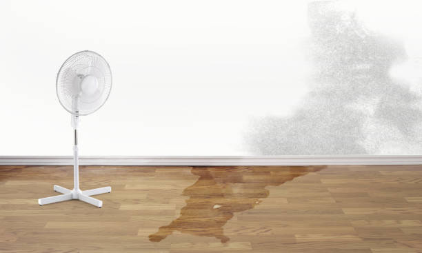 Best Emergency water damage restoration  in Westlake, TX