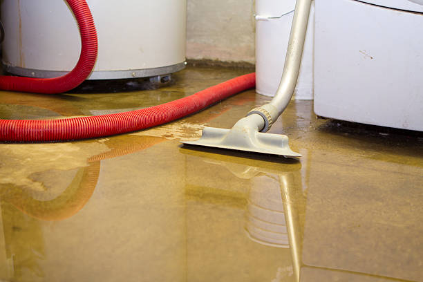 Best Emergency water extraction  in Westlake, TX