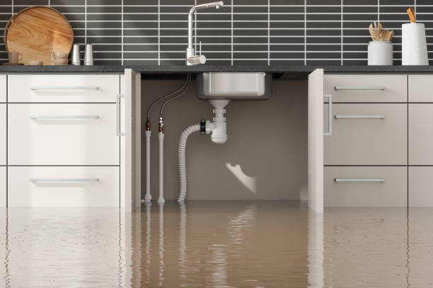 Best Mold removal after water damage  in Westlake, TX