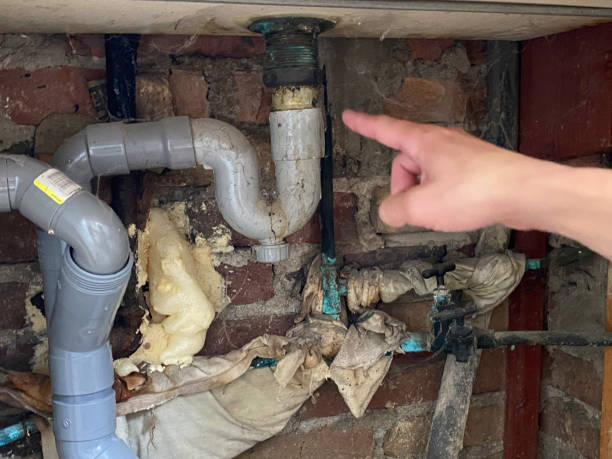 Best Professional water damage repair  in Westlake, TX